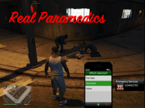 Real Paramedics v1.0