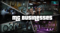 MC Businesses 4.0 (修复SHVDN夜间闪烁问题)