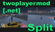 TwoPlayerMod [.NET] 分屏版 v1.2