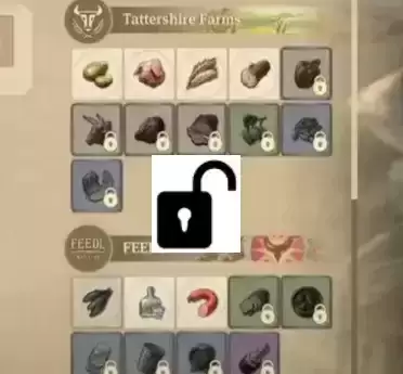 码头区在开始时解锁所有合同