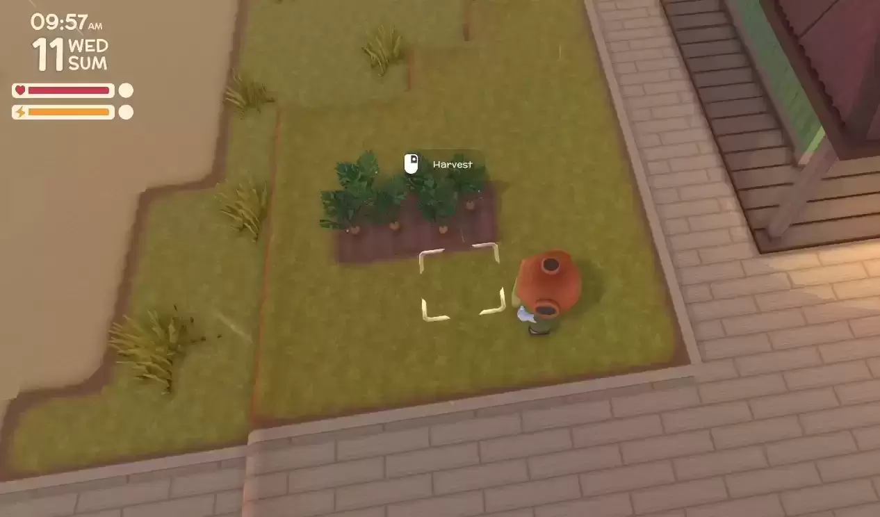 农作物四季生长