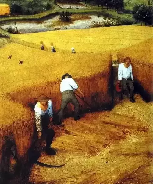 快速耕种 种地党福音