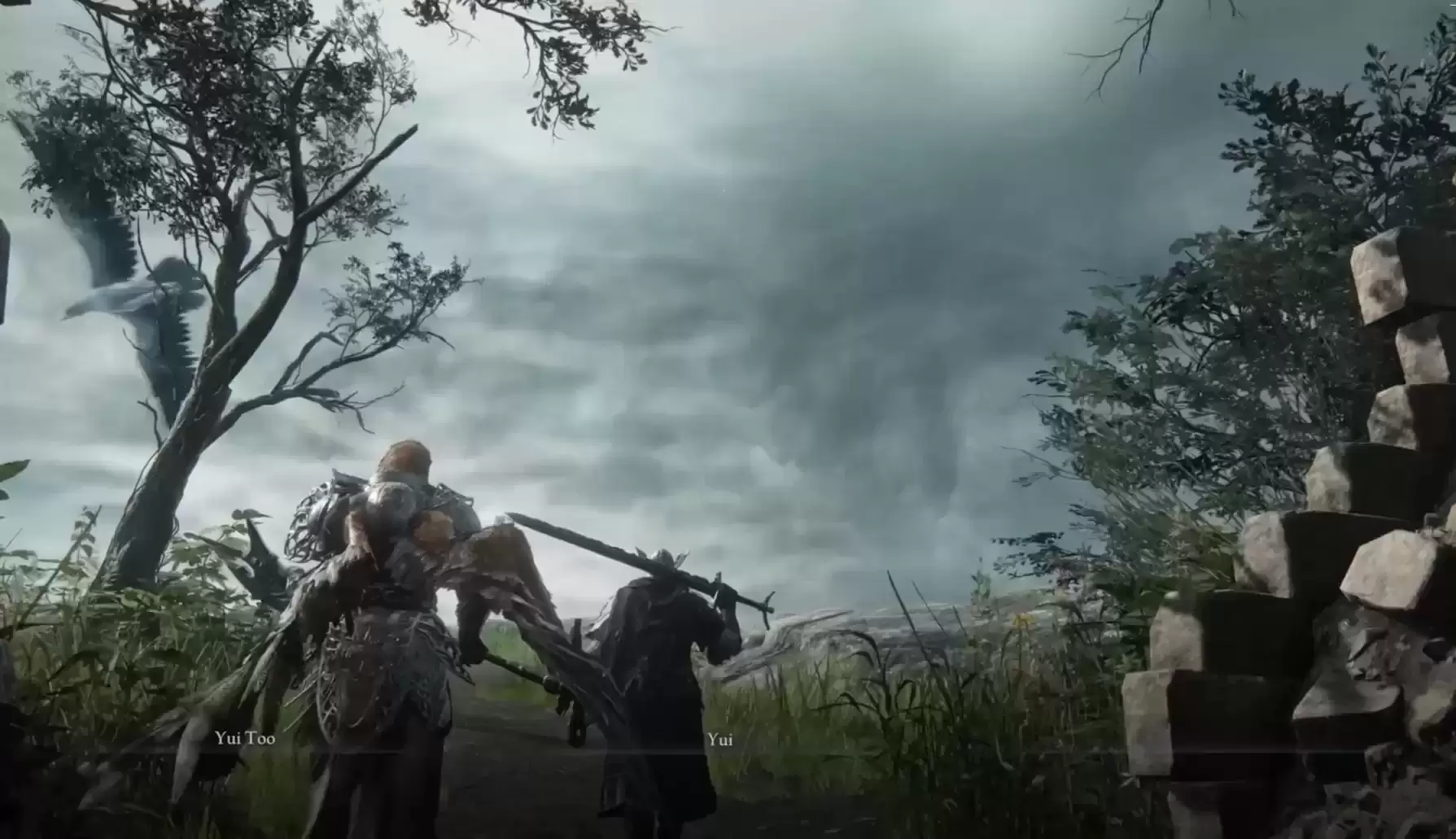 《无缝联机（法环黑夜君临版）》双人版联机（已更新）