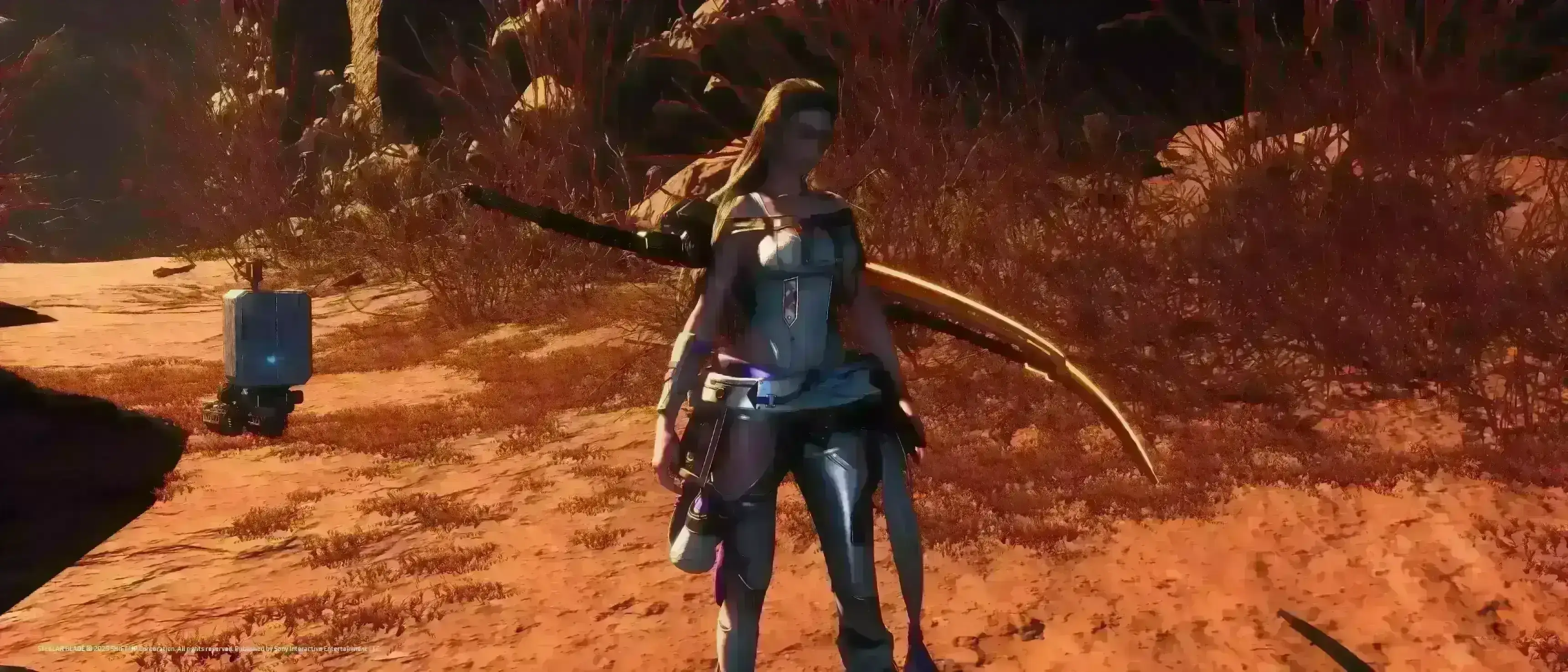 Tachy塔奇巨剑背部悬挂系统